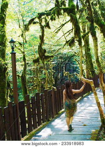 A Girl In The Jungle Among The Lianas, In The Tropics