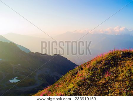 Beautiful Summer Landscape Sea Ocean, Clear Sky, Forest, High Mountains