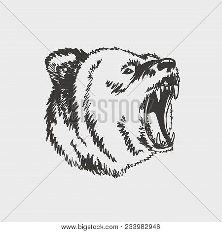 Emblem With Roaring Angry Bear Side Of The Head