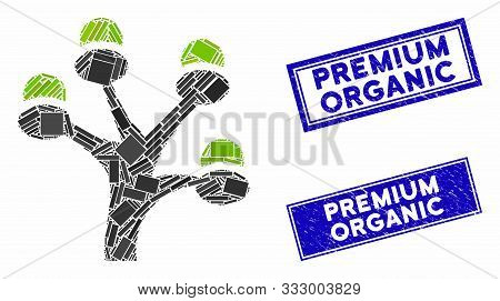 Mosaic Money Tree Icon And Rectangle Seal Stamps. Flat Vector Money Tree Mosaic Icon Of Random Rotat