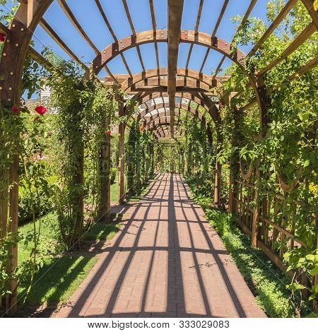 Square Frame Stine Brick Pathway Under A Wooden Arbor At A Wedding Venue On A Sunny Day