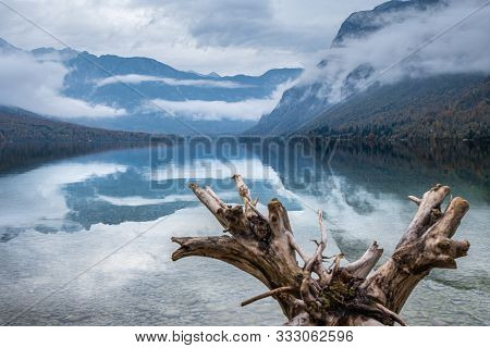 Magic Picturesque Cloudy Sky Reflection In Water Of Bohinj Lake. Driftwood Root In The Front. Beauti