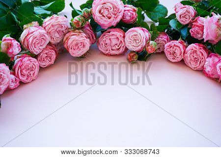 Peony Roses On A Delicate Pink Background With A Place For Text Top View