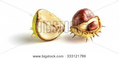 Closeup View On Double Chestnut In The Green And Yelloow Skin Isolated On White Background