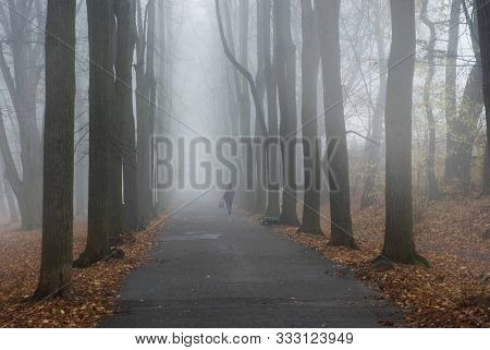 A Lonely Man Walking Into The Distance In The Autumn Park, Early In The Morning In Cloudy Foggy Weat