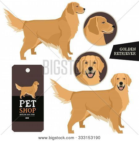 Dog Breeds Set Vector Illustration Golden Retriever Isolated Objects Set