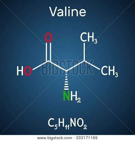 Valine, Val Molecule, Is -amino Acid . It Is Used In The Biosynthesis Of Proteins. Structural Chemic