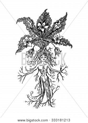 Mythical Mandrake Plant In Vintage Style. Fantasy Magic Flower, Ingredient For Witchcraft. Hand Draw