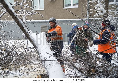 Municipal Workers Saw And Clean Trees Felled By A Blizzard. Clearing Rubble On The Streets. The Cons