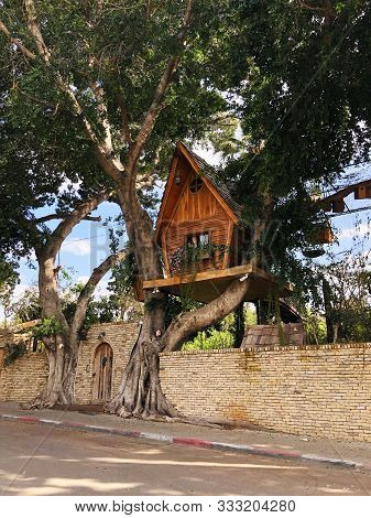 Amazing Treehouses In A Private Area . Living On The Tree Concept. Alternative Living