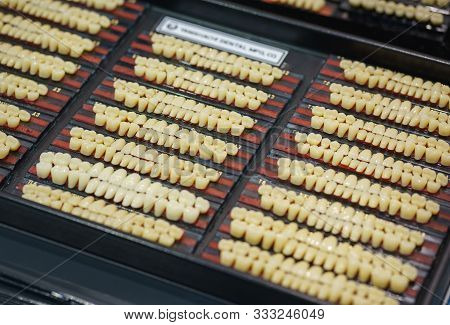 Lot Of Dentures, Teeth On A Special Stand. Equipment, Tools And Parts For A Dental Clinic. Caring Fo