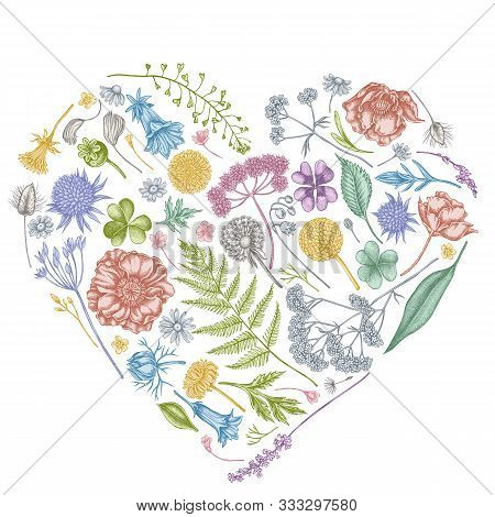 Heart Floral Design With Pastel Shepherds Purse, Heather, Fern, Wild Garlic, Clover, Globethistle, G