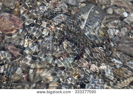 Pebbles On The Seabed Transparent Water. Background