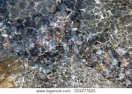 Pebbles On The Seabed Transparent Water. Background