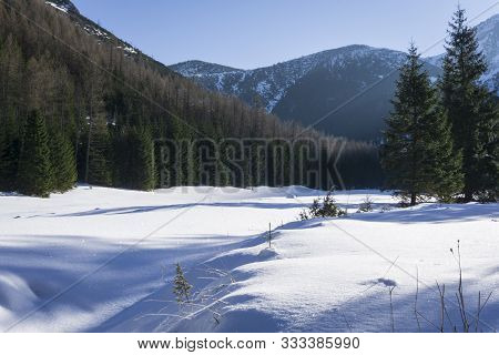 Winter Landscape In The Jaworzynka Valley. Western Tatra Mountains. Poland.
