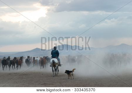Cowboy and wild horses in an cloudy sunset