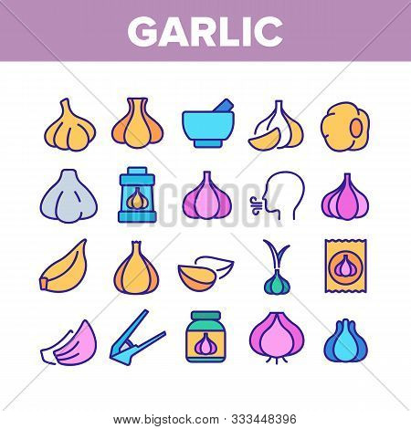 Garlic Spicy Vegetable Collection Icons Set Vector Thin Line. Smell From Mouth And Garlic Press, Org