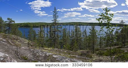 Pine Trees On The High Rocky Shore Of The White Sea. Kandalaksha Gulf, White Sea, Karelia, Russia, E