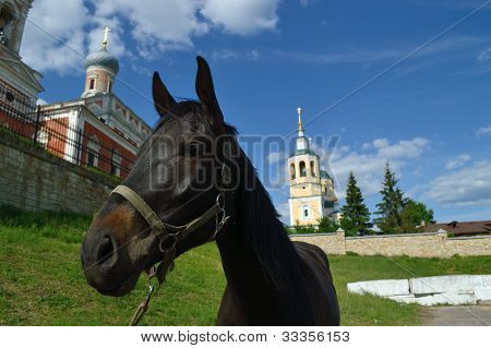 Bir at bir arka planda Elias Church