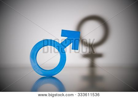 Blue Male Gender Icon In Front Of Female Shadow