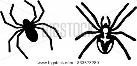 Spider Icon On White Background Tattoo, Vector, View, Web.