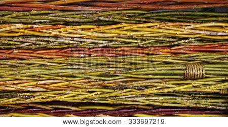 Czech Easter Pussywillow Twigs