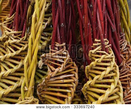 Czech Easter Pussywillow Twigs