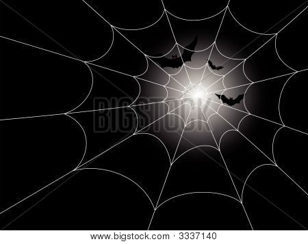 ค้างคาวและ Spiderweb ในแสงจันทร์