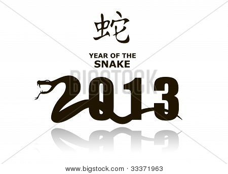 Snake 2013