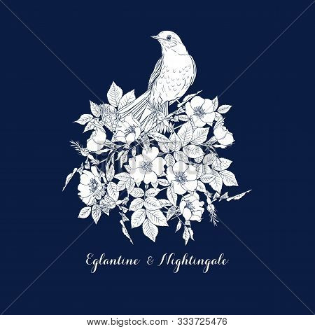 Dog-rose, Briar, Brier, Eglantine, Canker-rose And Nightingale. Template For Wedding Invitation, Gre