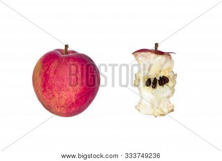 Whole Juicy Ripe Fruit Red Apple, Half Apple Slice, Bitten And Stub. Set Of Apples From Whole To Stu