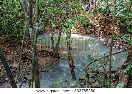 Rainforest With Water Course In Lokobe Nature Strict Reserve In Madagascar, Nosy Be, Africa