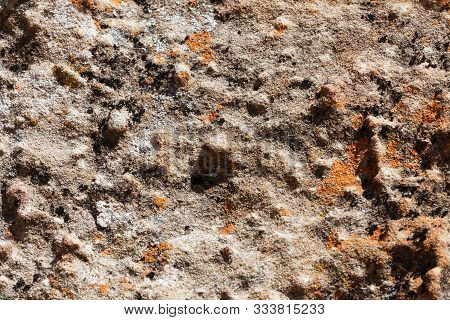 Surface Of Grey Sandstones With Iron Nodules, Jurassic Age From East Africa