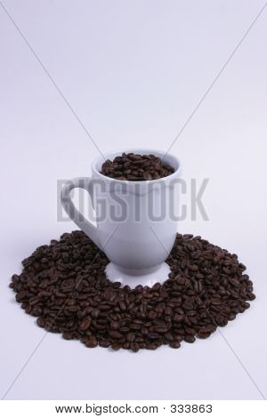 Кубок бобы