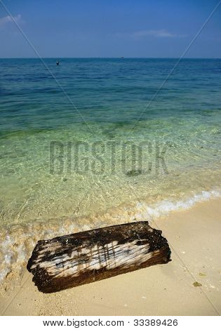 bastoni secchi sulla spiaggia
