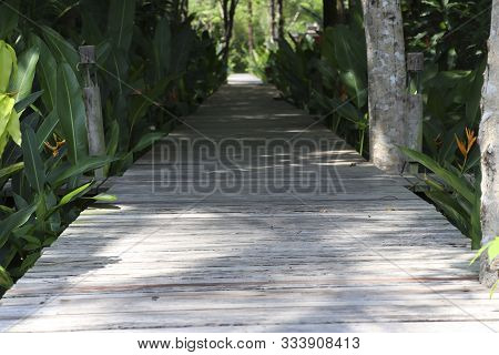 The Path That Is A Wooden Floor Is A Long Way Forward. The Walkway Is A Wooden Floor On The Side Wit