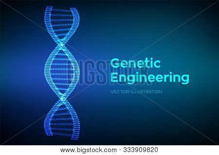 Dna Sequence In Hands. Wireframe Dna Molecules Structure Mesh. Dna Code Editable Template. Science A