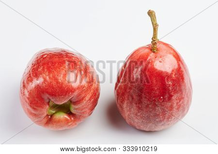 Raw Rose Apple Fruit Isolated