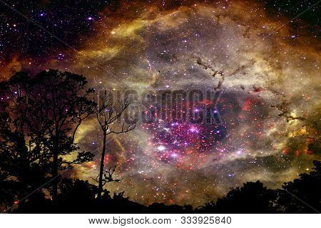 Blur Yellow Nebula Back On Night Cloud Sunset Sky Silhouette Tree