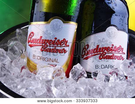 Bottles Of Budweiser Budvar Beer