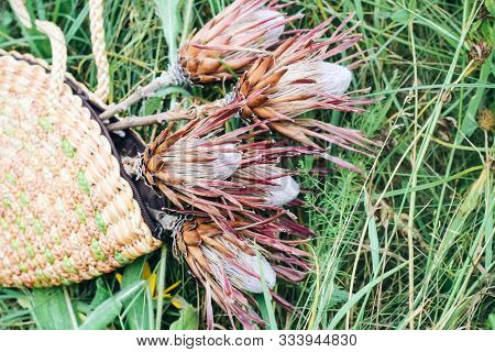 Proteus Flowers In A Wicker Basket. Eco Bag With Exotic Flowers