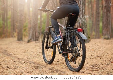 Back View Of Mountain Biker Riding On Bike In Autumn Inspirational Forest Landscape, Guy Cycling Mtb