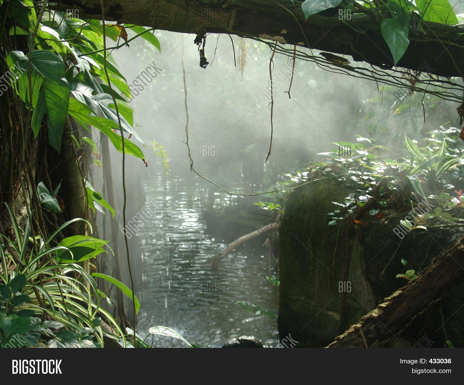 Image Preview