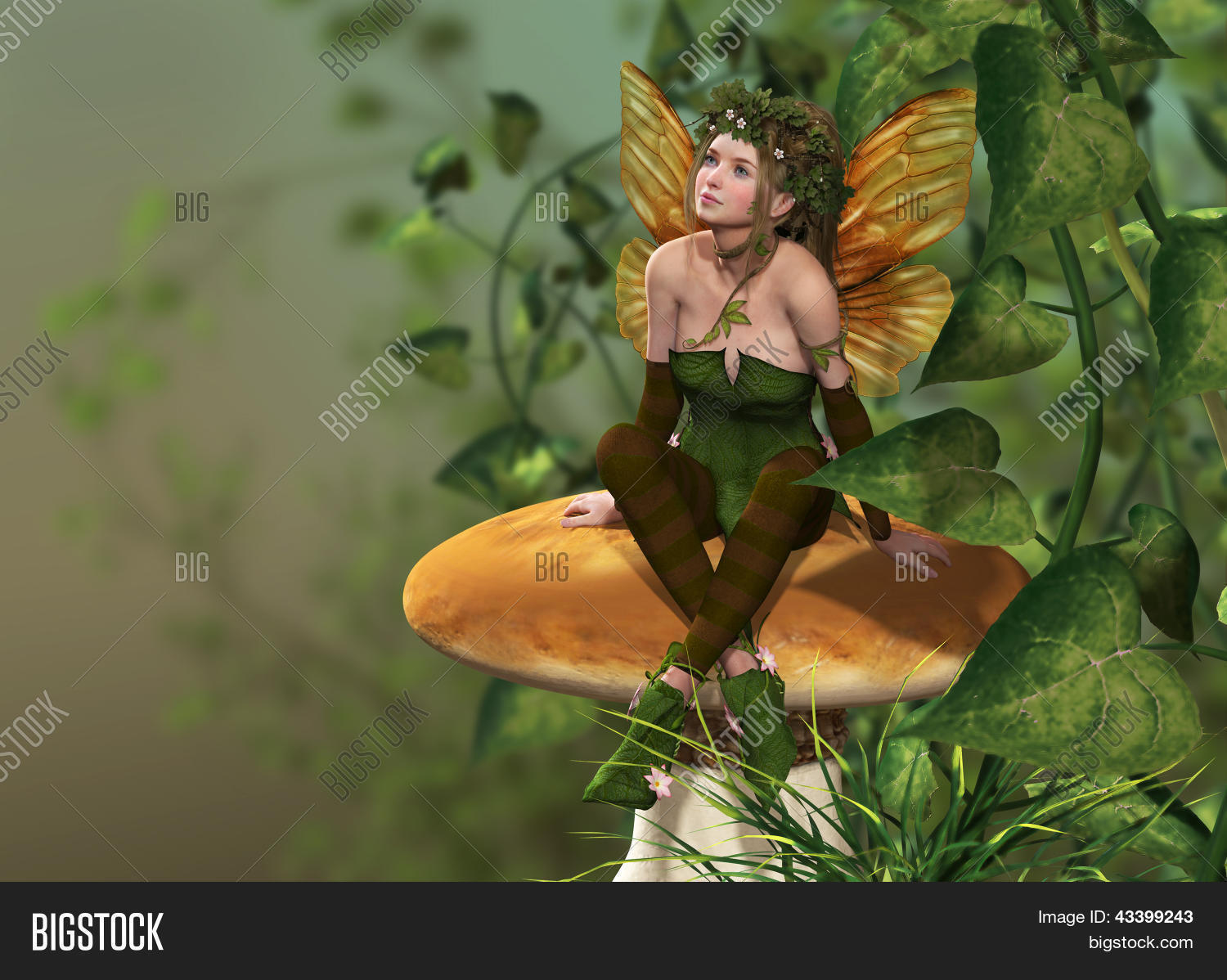Image Preview