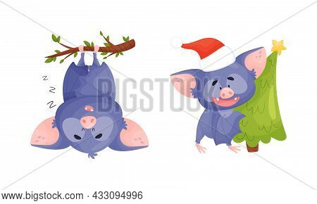 Funny Purple Bat Character Hanging Upside Down On Tree Branch And Carrying Fir Tree Vector Set