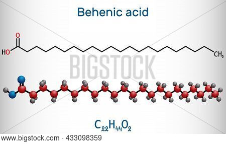 Behenic Acid, Molecule. It Is Docosanoic Acid, Straight-chain, Long-chain Saturated Fatty Acid. Stru
