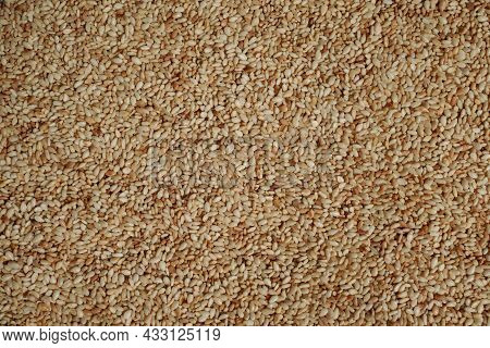 Toasted White Sesame Seeds. Full Screen Top View. Background