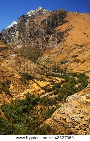 Højtliggende vegetation på Cohup Valley, Cordiliera Blanca, Gennemlæsning, Sydamerika