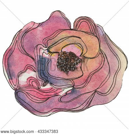 Watercolor Single Rose Of Pastel Color Without A Leaf