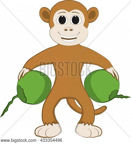 On A Sunny Day A Monkey Brings Coconuts To Share With His Friends
